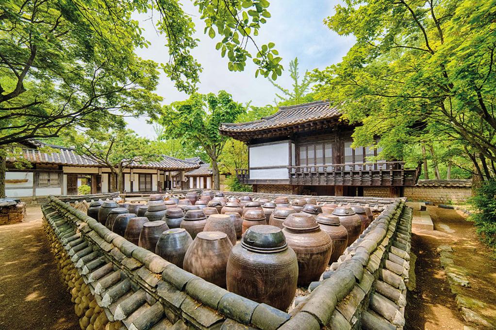 Korea: 8-Day Korea in Bloom, photo 4