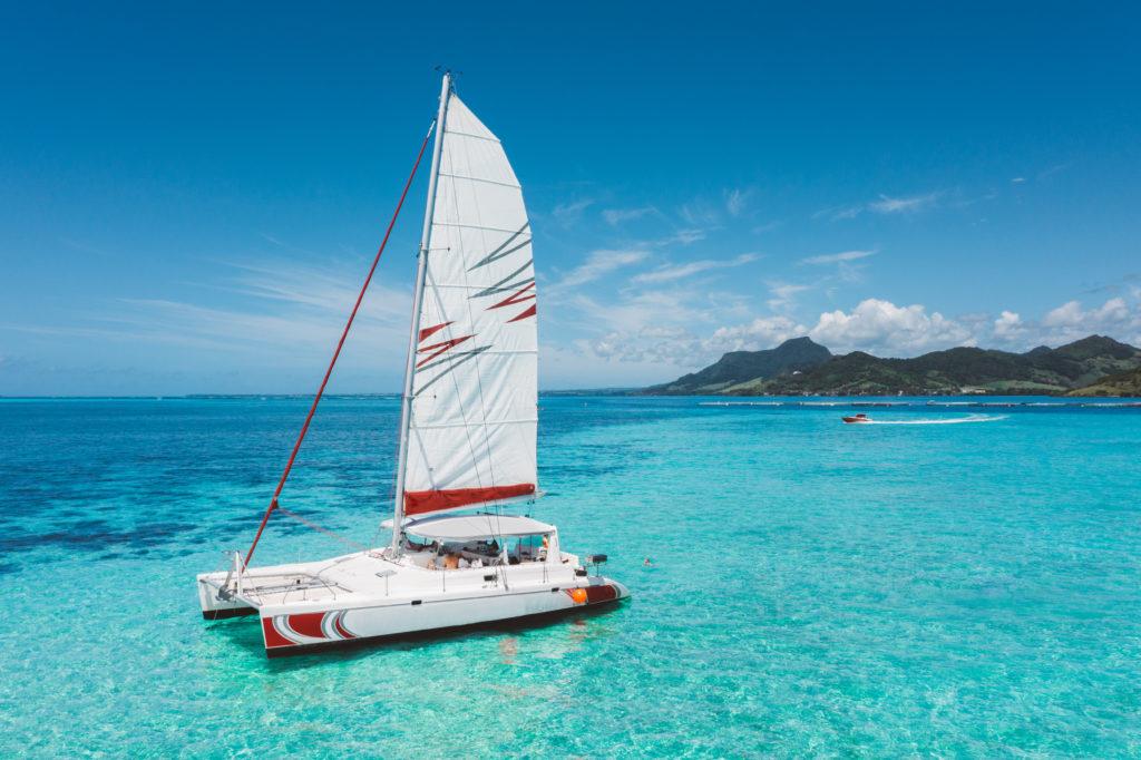 Tropical Island Wonders: Catamaran, Coastlines & Marine Life, photo 4