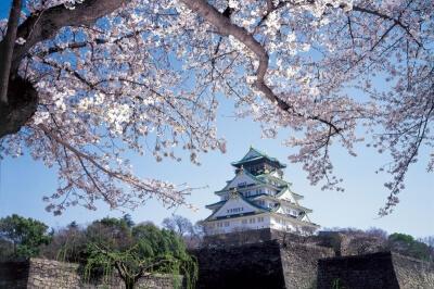 Japan - 5-Day Osaka City Escape, photo 2