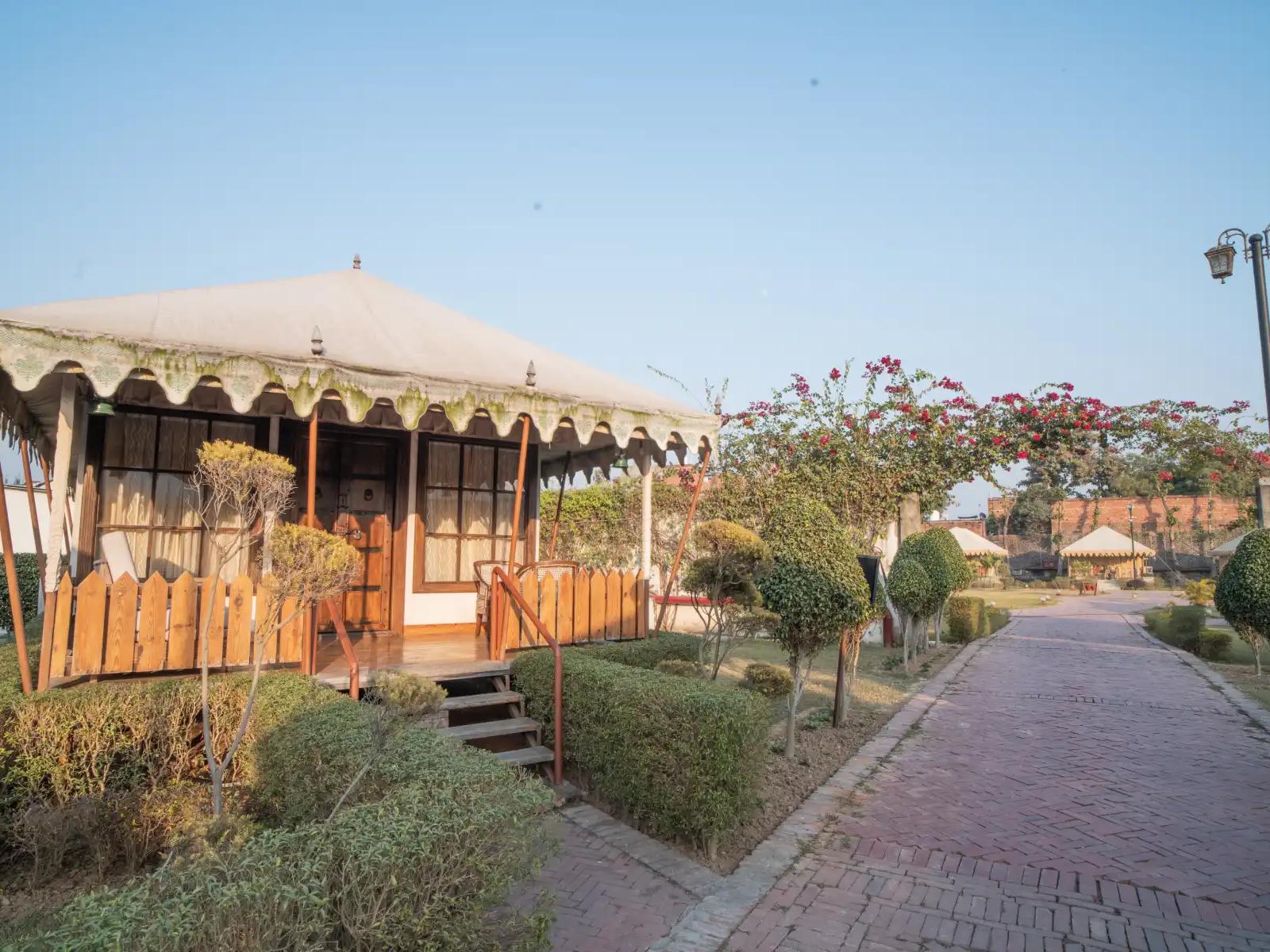Om Vilas Benares, photo 2