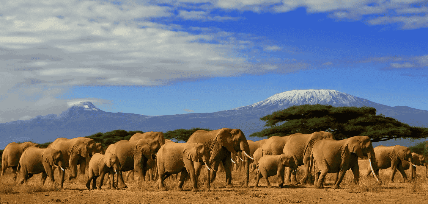 Kenya Romantic Safari Escape, photo 2