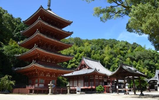 Japan - 5-Day Kyoto Heritage & Nara Escape, photo 4
