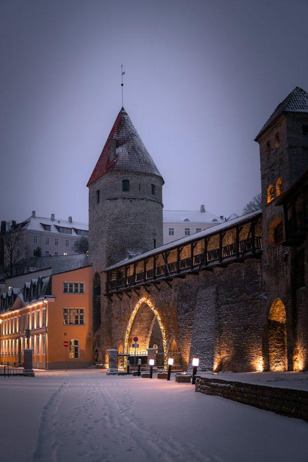 5-Day Estonia: Tallinn Heritage & Coastal Escape, photo 4
