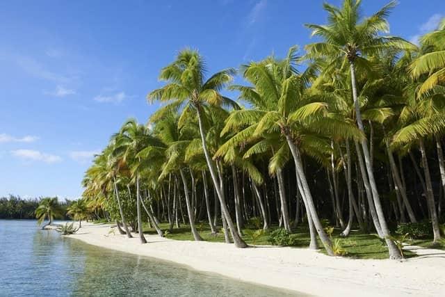 Highlights of Bora Bora | The Ultimate Island Escape, photo 11