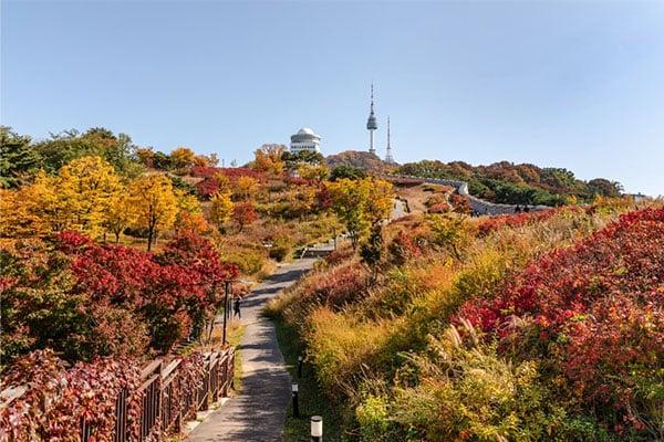 Korea: Seoul, Busan & Gyeongju . 7 Days