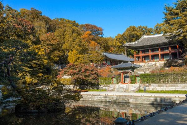 Korea: 5-Day Discovery, photo 4