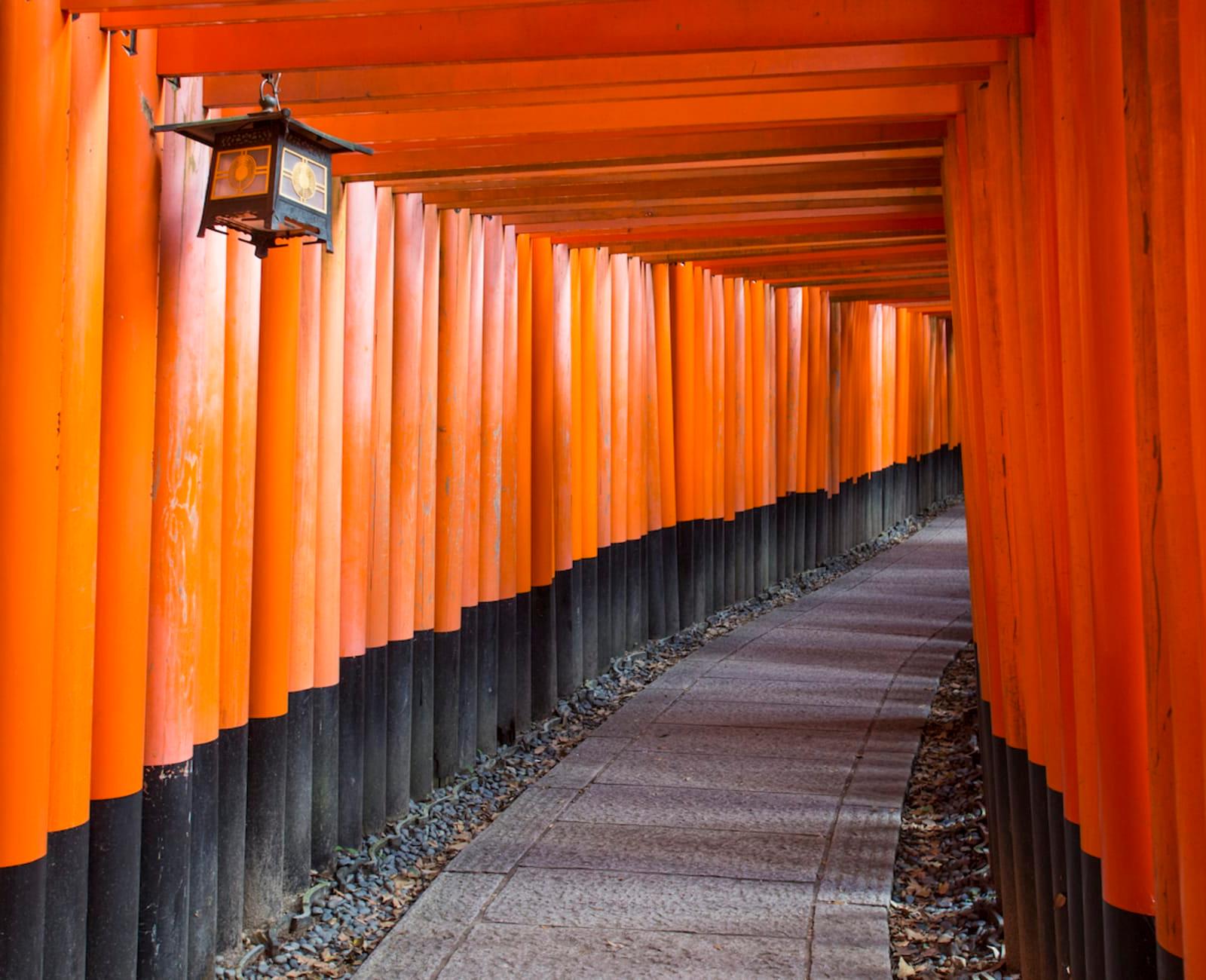 Japan - 5-Day Kyoto Heritage & Nara Escape, photo 2