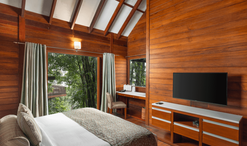 The Tamara Coorg