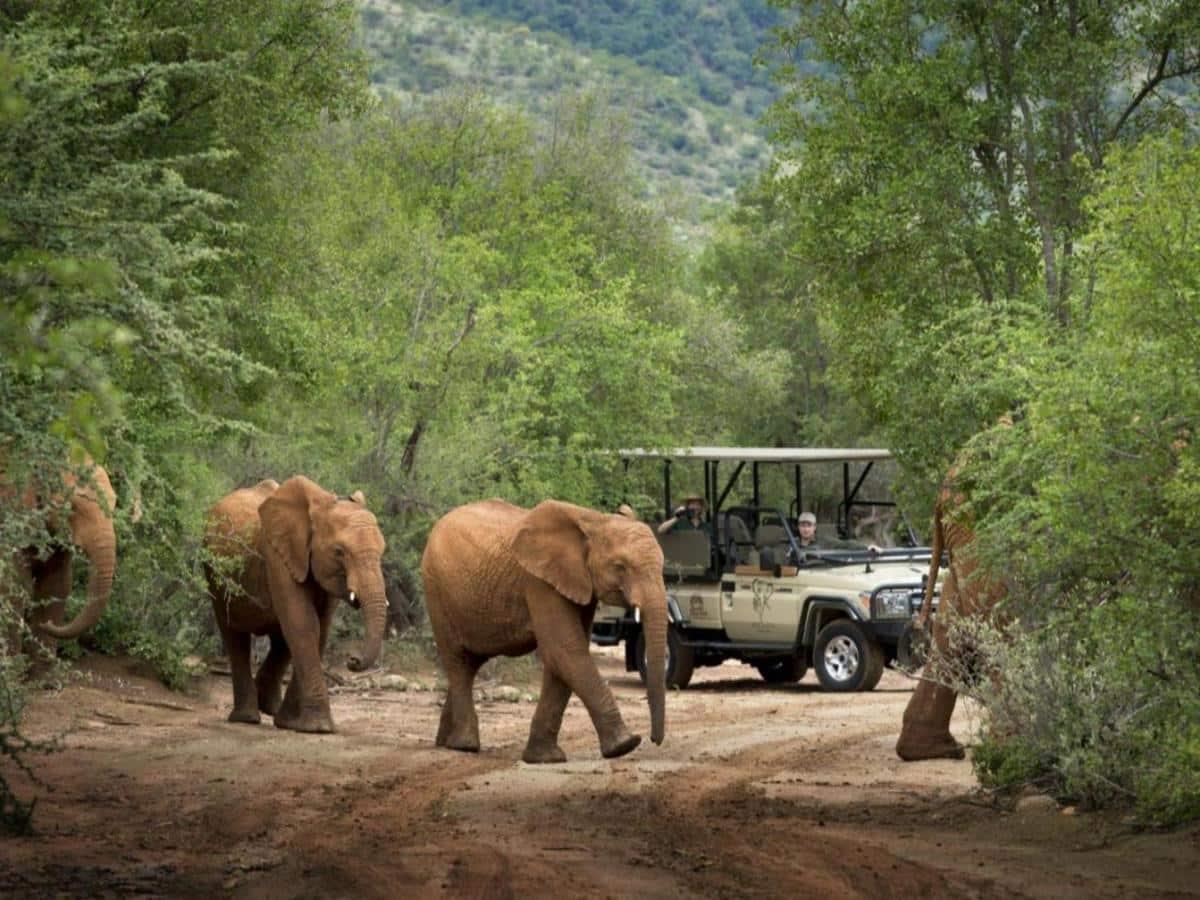 South Africa Friends & Group Escape: Island Parties & Quad Adventures, photo 4