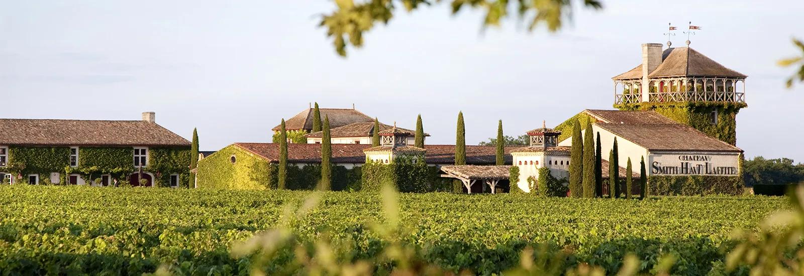 Bordeaux Elegant Escape, photo 4
