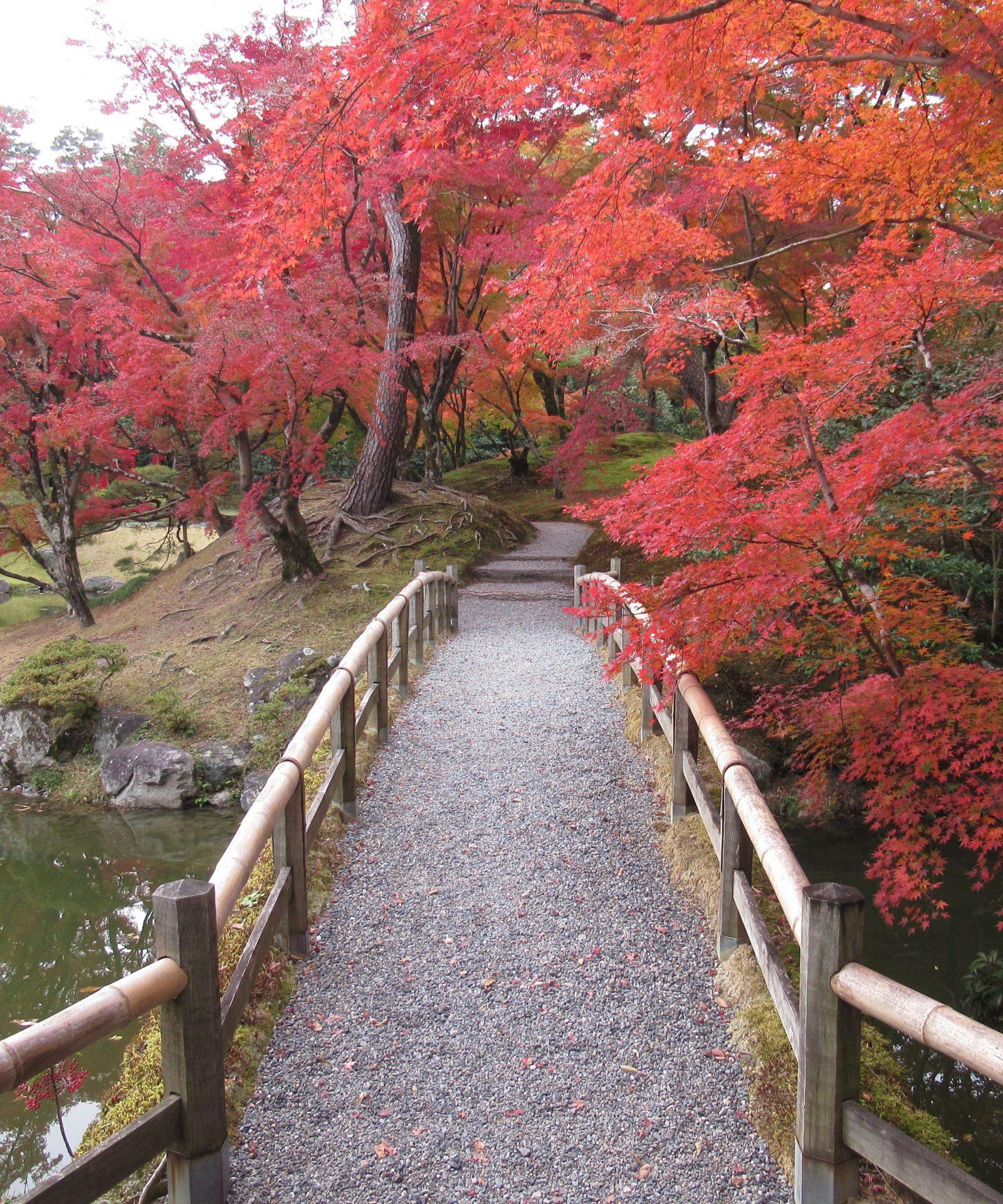 Japan - 5-Day Kyoto & Nara Heritage Escape, photo 3